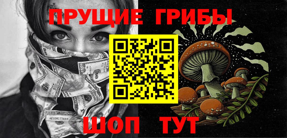 Псилоцибиновые грибы GOLDEN TEACHER  Вход с VPN  Пушкино 
