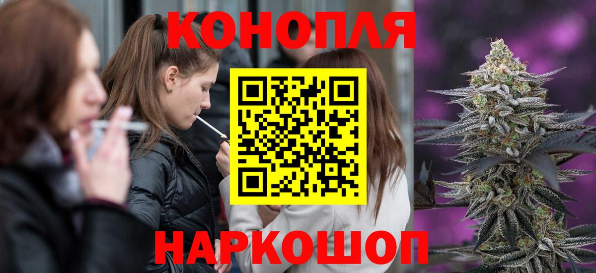 Шишки марихуана сатива  Бошки марихуана конопля  Пушкино  Каннабис марихуана  Конопля план  Вход с VPN 